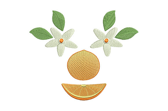 Flower and Fruit of an Orange